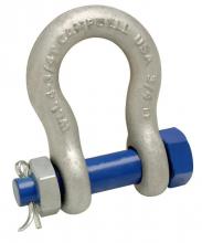 Campbell 5394035 - 2-1/2" ANCHOR SHACKLE,BOLT TYPE,H/G
