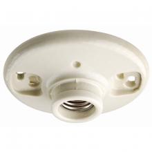 Bulb Recycling and Maintenance